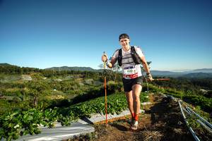 BIB: 9586
                            <button type="button" onclick="openModal(19117193)" class="btn btn-primary btn-sm float-right btn-popup" data-toggle="modal" data-target=".modal-high-quality">
                        <i class="fas fa-shopping-cart"></i> Add to Cart
                    </button>
                                            <button type="button" onclick="isThisMe(19117193, true)" class="btn btn-success btn-sm float-right btn-popup btn-isme hidden" data-toggle="tooltip" data-placement="bottom" title="นี่คือรูปของคุณใช่ไหม คลิกที่นี่เพื่อเอาเข้าอัลบั้ม">
                        <i class="fas fa-plus"></i> Add to album
                    </button>
                    <button type="button" onclick="isThisMe(19117193, false)" class="btn btn-warning btn-sm float-right btn-popup btn-isnotme hidden">
                        <i class="fas fa-ban"></i> Remove from album
                    </button>